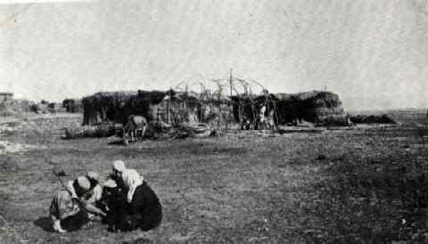 Arab Settlement in Esdraelon Valley, 1910